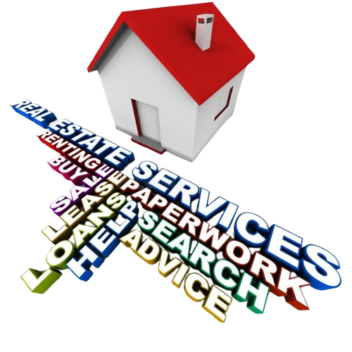 Our services illustration